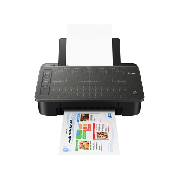 Pixma TS305