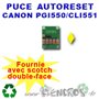 canonpgi550_cli551jaune