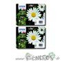 Epson T1806 - Pack Cartouche d'encre Epson T1806 x2