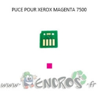 XEROX Puce MAGENTA Toner Phaser 7500