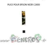 EPSON Puce NOIR Toner AcuLaser C2600