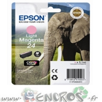 Epson T2426 - Cartouche d'encre Epson Light Magenta C13T24264010