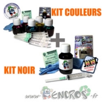 Pack kit encre Noir EC20 + EC22 Stylus Couleur