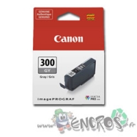 Canon PFI-300GY - Cartouche d'encre Canon PFI-300GY Gris