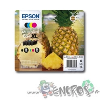 Epson 604 XL - Multipack Cartouches d'encre Epson 604 XL