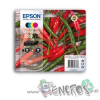 Epson 503XL - Pack Cartouches Epson 503XL