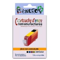 Cartouche d'encre compatible AVEC PUCE equivalente au modele PGI