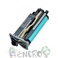 Epson C8600 - Kit photoconducteur Epson C13S051082
