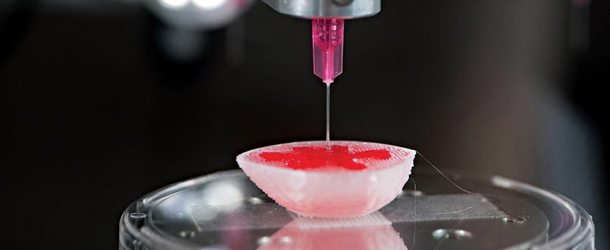 Des universitaires transforment une imprimante 3D en bio-imprimante