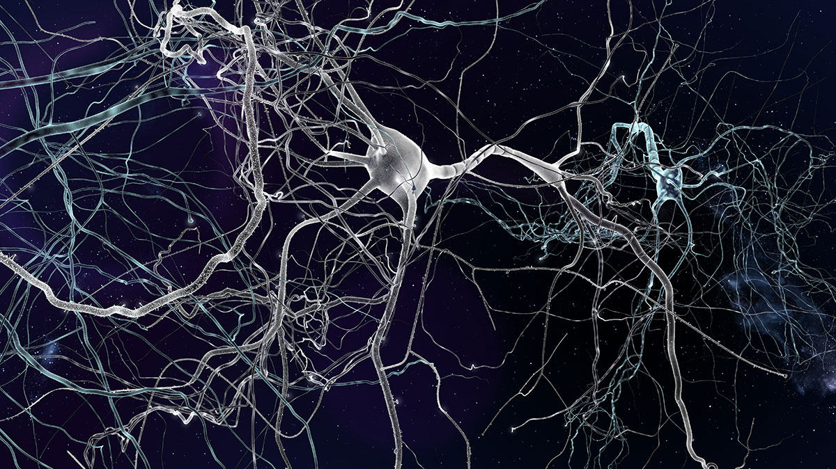 Innovation : les cellules nerveuses imprimées arrivent !