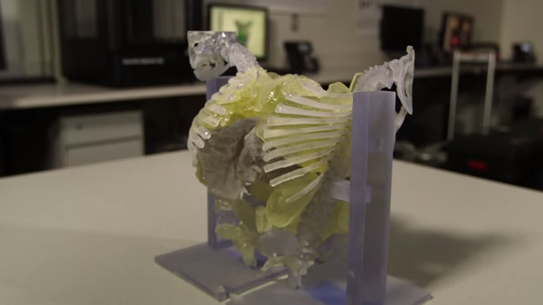 Des chirurgiens sauvent la vie de deux soeurs siamoises à l'aide d'une imprimante 3D