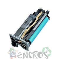 Epson C8600 - Kit photoconducteur Epson C13S051082