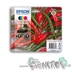Epson 503XL - Pack Cartouches Epson 503XL