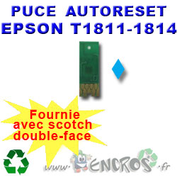 Puce Auto-Reset T1813 magenta