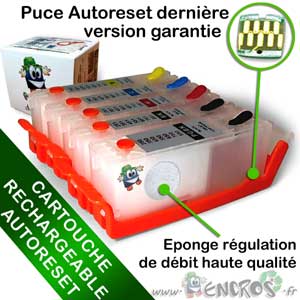 Cartouche Rechargeable pour Canon CLI551-PGI550 - Pack X5 Vides